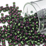 TOHO Round Seed Beads, Japanese Seed Beads, (2204) Silver Lined Frost Olivine Pink Lined, 8/0, 3mm, Hole: 1mm, about 222pcs/10g(X-SEED-TR08-2204)