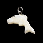 Natural White Shell & Crystal Rhinestone Pendants, with 304 Stainless Steel Jump Ring, White, Stainless Steel Color, Dolphin Charm, 15x26x5mm, Hole: 4mm(SH-CBAC52B-01C)