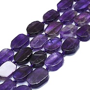 Natural Amethyst Beads Strands, Rectangle, 15~17x10~13x5~7mm, Hole: 1mm, about 22pcs/strand, 15.94''(40.5cm)(G-K245-J12-01)