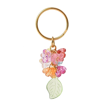 Transparent Leaf & Flower Acrylic Keychains with Iron Split Key Ring, for Car Key Bag Accessories, Golden, 7cm