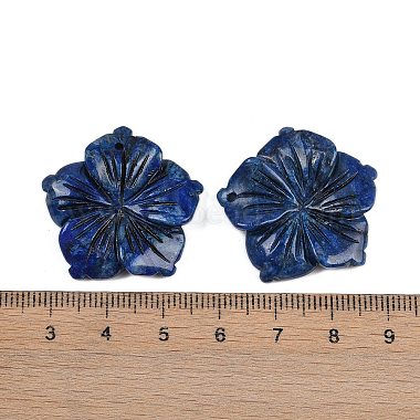 Natural Sodalite Carved Pendants(G-B097-01A-04)-3