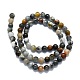Natural Eagle Eye Stone Beads Strands(G-K245-A09-02)-2