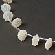 Natural White Shell Mother of Pearl Shell Beads(BSHE-B005-07)-3