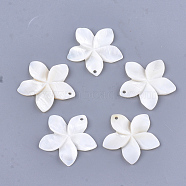 Carved Freshwater Shell Pendants, Flower, Creamy White, 31~34.5x32~35.5x3~4mm, Hole: 1.6mm(SHEL-T012-54)