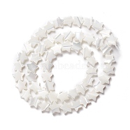 Natural Trochid Shell/Trochus Shell Beads, Star, Seashell Color, 8x8.5x2.5~3mm, Hole: 0.8mm, about 55pcs/strand, 15.55 inch(39.5cm)(SSHEL-O001-25B-02)