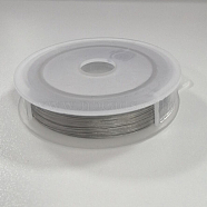 Tiger Tail Wire, Stainless Steel Wire, Stainless Steel Color, 0.38mm, about 262.47 Feet(80m)/Roll(TWIR-WH0007-01-0.38mm)