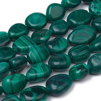 Natural Malachite Beads Strands, Nuggets, Tumbled Stone, 8~12x7~10x5.5~8mm, Hole: 0.5mm, about 43pcs/strand, 15.55 inch(39.5cm)
