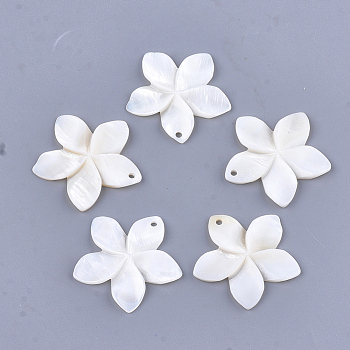 Carved Freshwater Shell Pendants, Flower, Creamy White, 31~34.5x32~35.5x3~4mm, Hole: 1.6mm