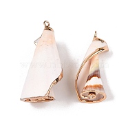 Natural Sea Shell Pendants, Shell Shaped Charms with Golden Tone Iron Loops, Seashell Color, 23~40x12~23x11~23mm, Hole: 1.6~1.8mm(SSHEL-N038-37)