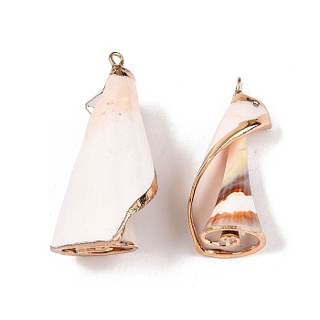 Natural Sea Shell Pendants, Shell Shaped Charms with Golden Tone Iron Loops, Seashell Color, 23~40x12~23x11~23mm, Hole: 1.6~1.8mm