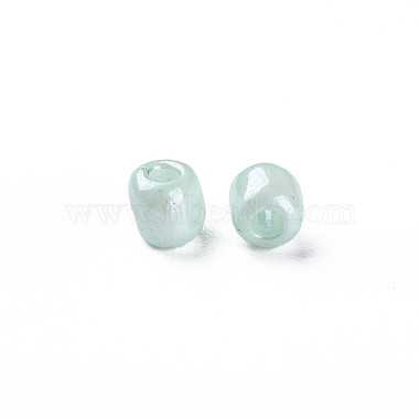 6/0 Glass Seed Beads(SEED-N005-002A-F02)-6