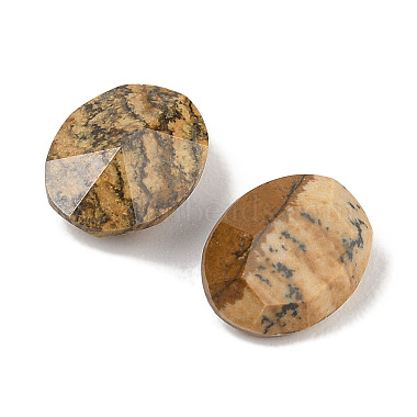 Natural Picture Jasper Cabochons(G-C146-02C)-2