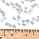 Glass Seed Beads(X1-SEED-H002-D-A819)-4