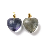 Natural Fluorite Pendants, with Golden Tone Brass Findings, Heart Charm, 18x15~15.5x6~8mm, Hole: 6x3mm(G-I311-A36-G)