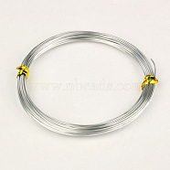Round Aluminum Wires, Silver, 20 Gauge, 0.8mm, about 20m/roll(X-AW-AW20x0.8mm-01)