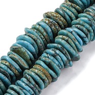 Graduated Synthetic Turquoise Beads Strands, Dyed, Nuggets, Light Sky Blue, 7~20x7~15x3~5mm, Hole: 1.2mm, about 118~119pcs/strand, 15.75~15.87''(40~40.3cm)(G-A237-01D)