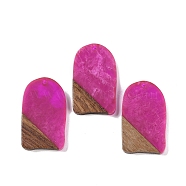 Resin & Wood Pendants, Arch Charms, Fuchsia, 38x22.5x3.5mm, Hole: 2mm(WOOD-F015-13G)