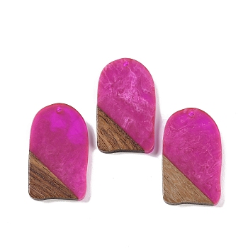 Resin & Wood Pendants, Arch Charms, Fuchsia, 38x22.5x3.5mm, Hole: 2mm