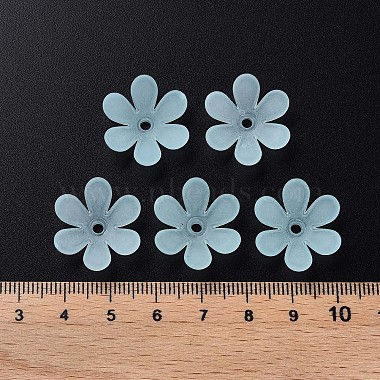 perles acryliques transparents(X1-MACR-S373-107-D04)-5