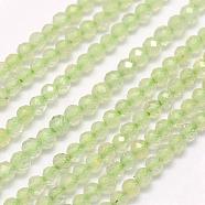 Natural Prehnite Beads Strands, Faceted, Round, 2mm, Hole: 0.5mm, about 223pcs/strand, 15.7 inch(40cm)(G-F509-30-2mm)