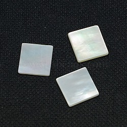 White Shell Cabochons, Square, White, 8x8x1mm(SSHEL-I007-11)