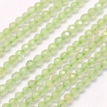 Natural Prehnite Beads Strands, Faceted, Round, 2mm, Hole: 0.5mm, about 223pcs/strand, 15.7 inch(40cm)