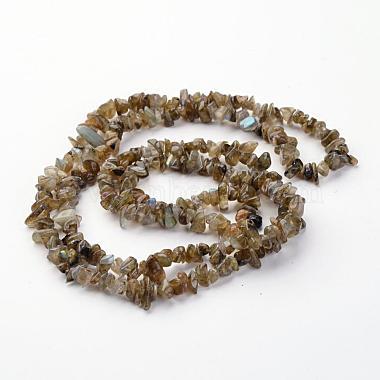 Copeaux de labradorite naturelle perles brins(F069)-4