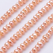 Natural Cultured Freshwater Pearl Beads Strands, Potato, Light Salmon, 2.5~4.5x4.5~6mm, Hole: 0.7mm,  about 87~90pcs/strand, 1.36~1.38 inch(34.5~35cm)(PEAR-F004-03-02)