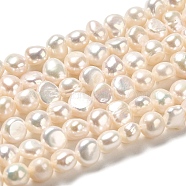 Natural Cultured Freshwater Pearl Beads Strands, Two Sides Polished, Grade 4A, PapayaWhip, 6~7x7~8x5~5.5mm, Hole: 0.5mm, about 53~54pcs/strand, 13.39~13.78 inch(34~34.5cm)(PEAR-E017-15)