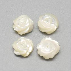Natural White Shell Mother of Pearl Shell Cabochons, Flower, Seashell Color, 9~10x4mm(SSHEL-R042-11)