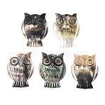 Sea Shell Pendants, Owl, Coconut Brown, 39~40x27.5~30x1.5~2.5mm, Hole: 1.8~2mm(X-SSHEL-Q297-22)