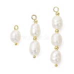 3Pcs 3 Styles Natural Pearl Rice Pendants, Beaded Charms with 304 Stainless Steel & Brass Findings, White, Golden, 13~40x6.5~7mm, Hole: 2mm, 1pc/style(PALLOY-JF04739)