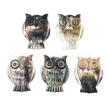 CoconutBrown Owl Other Sea Shell Pendants
