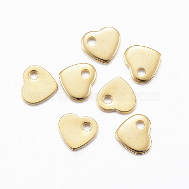 304 Stainless Steel Charms(STAS-H557-28G)-2