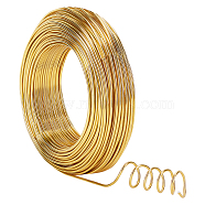 Round Aluminum Wire, Bendable Metal Craft Wire, for DIY Jewelry Craft Making, Gold, 12 Gauge, 2mm, 55m/500g(180.4feet/500g), 500g(AW-NB0001-01D-G)