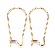 316 Surgical Stainless Steel Hoop Earring Findings, Kidney Ear Wires, Real 18k Gold Plated, 10 Gauge, 25x12x2.5mm, Pin: 0.7mm(X-STAS-A056-12G-B)