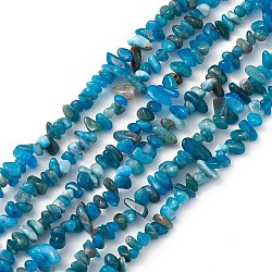 Natural Apatite Beads Strands, Chip, 4.5~8.5x3.5~7x3~5mm, Hole: 1mm, about 290~300pcs/strand, 30.71''(78cm)(G-F666-01B-03)