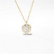Eco-Friendly Brass Pendant Necklaces(NJEW-AA00090-15G)-1