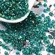 Glass Seed Beads(X1-SEED-H002-A-A617)-1