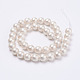 Wrinkle Textured Shell Pearl Beads Strands(X-BSHE-E016-8mm-07)-2