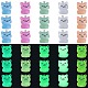 30Pcs 5 Colors Luminous Transparent Resin Pendants(RESI-SZ0003-41)-1