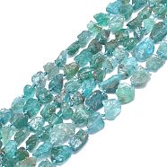 Raw Rough Natural Apatite Beads Strands, Nuggets, 9~15x5~10x4~9mm, Hole: 1mm, about 28~38pcs/strand, 15.55 inch(39.5cm)(G-F715-076)