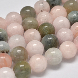 Grade AB Natural Morganite Round Bead Strands, 6mm, Hole: 1mm; about 63pcs/strand, 15.5inches(G-M296-04-6mm)