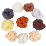10 Styles Needle Felting Wool Roving, DIY Craft Material, Mixed Color, 100~150mm(DIY-GF0011-03)