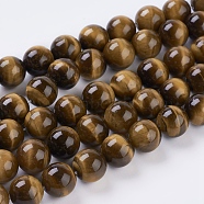 Tiger Eye Beads Strands, Round, 12mm, Hole: 1~2mm, about 16pcs/strand, 8 inch(X-G-C076-12mm-1B)