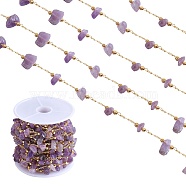 Natural Amethyst Chips Beaded Chains, with Golden Brass Findings, Long-Lasting Plated, Soldered, with Spool, 4~14x4~11x2~7mm, about 3.28 Feet(1m)/Box(CHC-SZ0001-62H)
