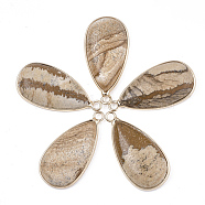 Natural Picture Jasper Pendants, with Brass Findings, teardrop, Golden, 33x16~16.5x6mm, Hole: 2mm(G-S344-51E)