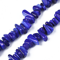 Natural Trochid Shell/Trochus Shell Beads Strands, Dyed, Chips, Medium Blue, 7~22x5~8x1~6.5mm, Hole: 1mm, about 96~111pcs/strand, 14.37 inch~15.75 inch(36.5cm~40cm)(SHEL-S258-080-B09)