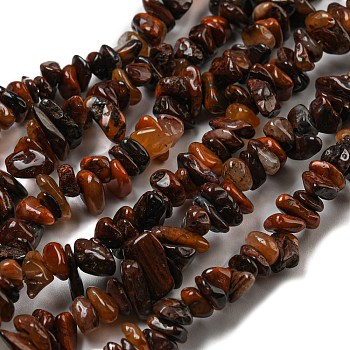 Natural Red Pietersite Beads Strands, Chip, 5~12.5x3~6x4~5mm, Hole: 0.7mm, 30.71''(78cm)