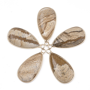 Natural Picture Jasper Pendants, with Brass Findings, teardrop, Golden, 33x16~16.5x6mm, Hole: 2mm